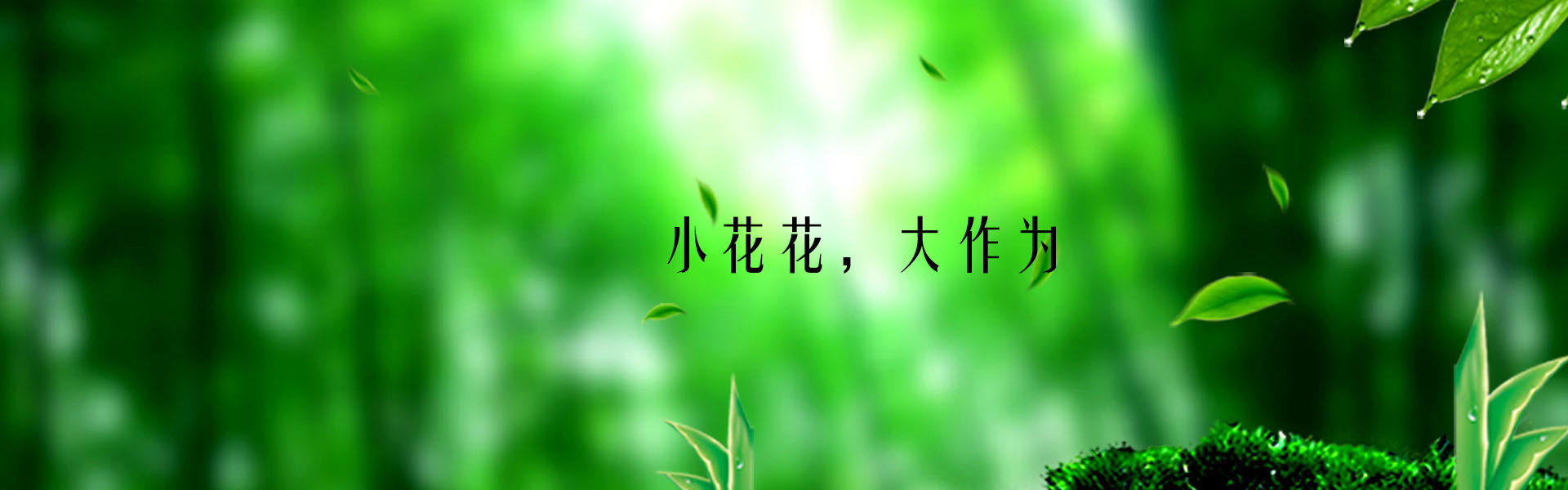 幻灯1