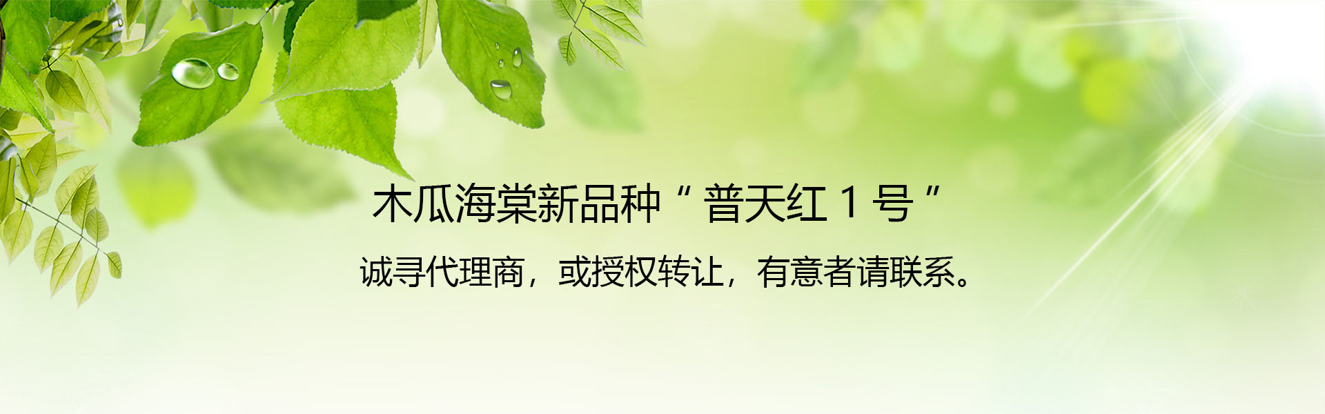 幻灯2